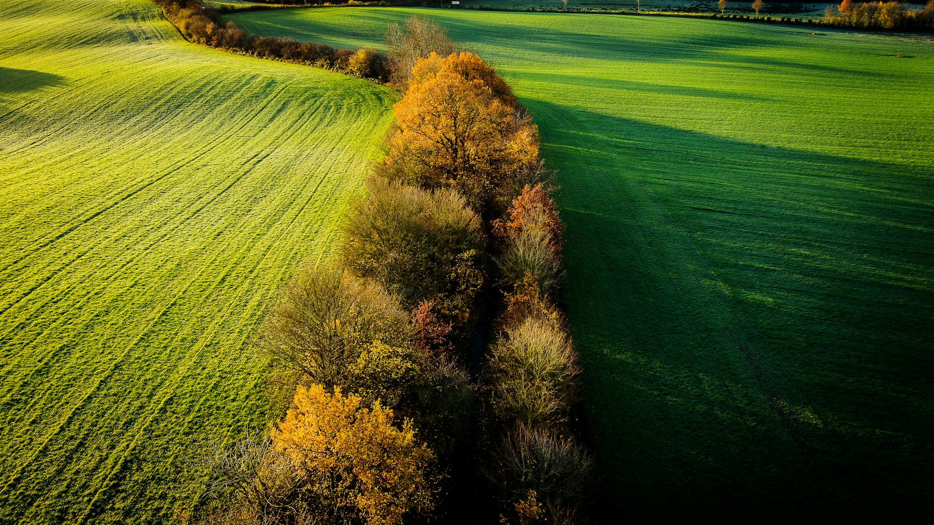 Αγροτικό τοπίο — περιβαλλοντικές υπηρεσίες